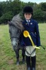 Working Hunter Pony